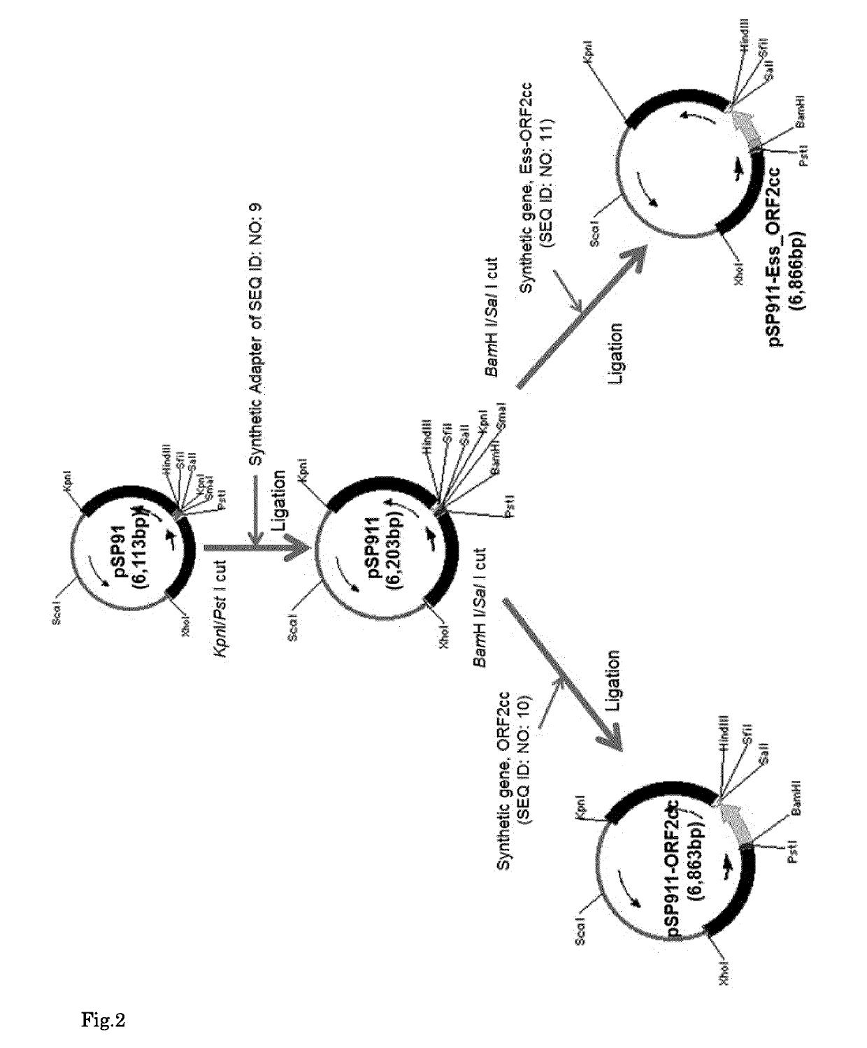 Multivalent recombinant spv