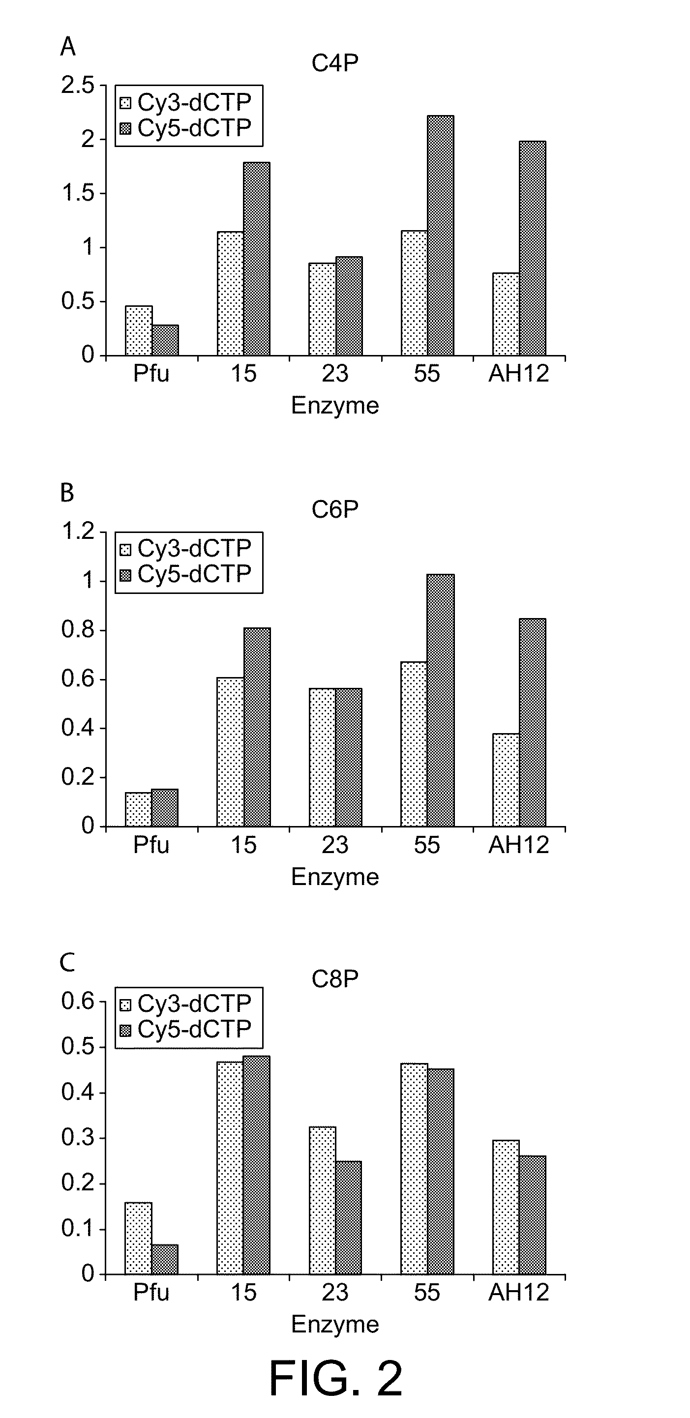 Polymerase