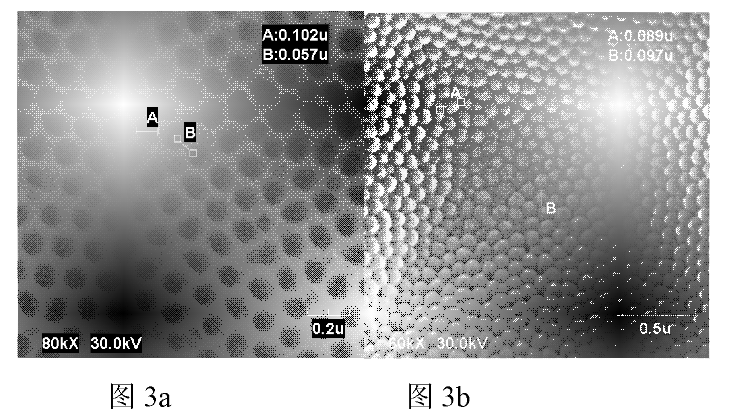 Process for manufacturing sub-micrometer structure organic light emitting diode (OLED) by using porous alumina as template