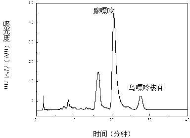 Method for separating and purifying four nucleoside chemical ingredients from trichosanthes bark