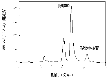 Method for separating and purifying four nucleoside chemical ingredients from trichosanthes bark