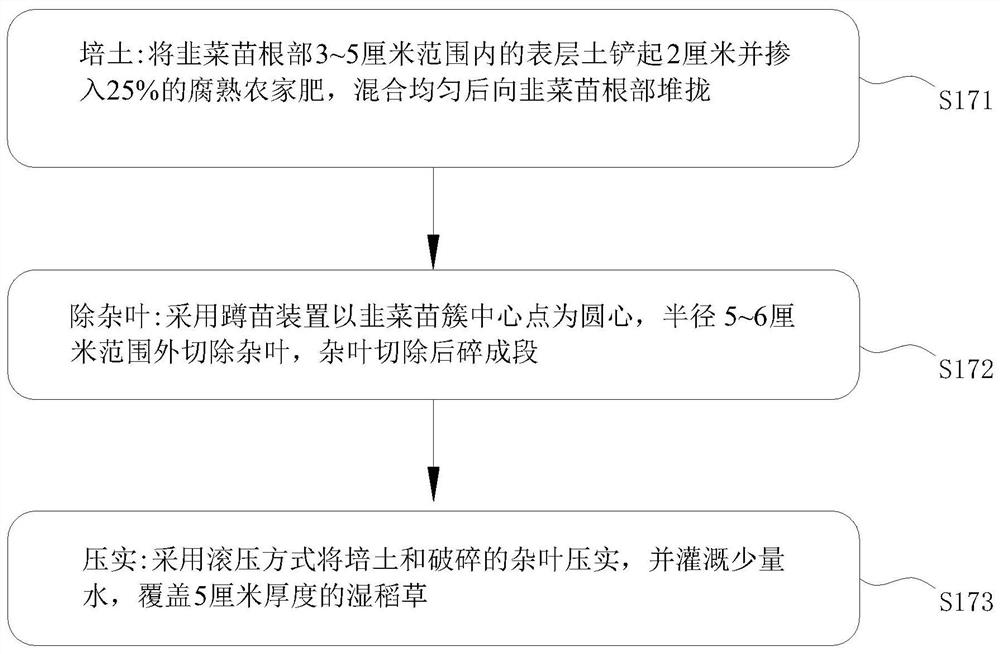 Seedling hardening method for open field culture of Chinese chives