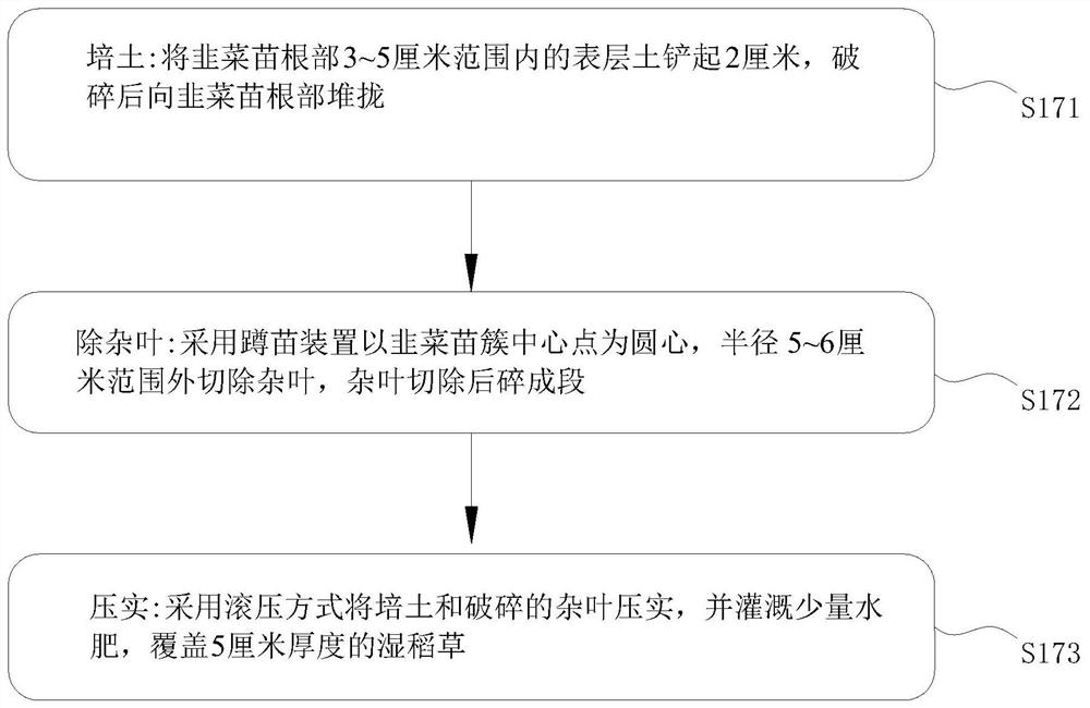 Seedling hardening method for open field culture of Chinese chives