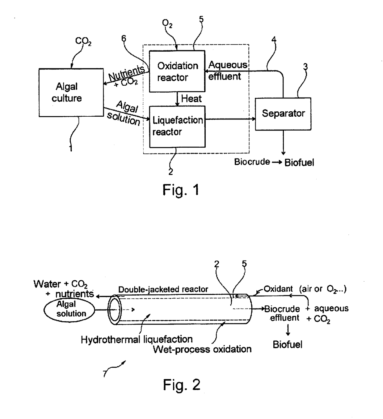 Method for converting algal biomass into a gas or into biocrude by hydrothermal gasification or hydrothermal liquefaction, respectively