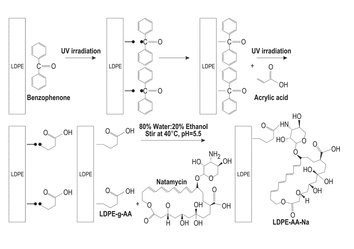 Antifungal-grafted polyolefin