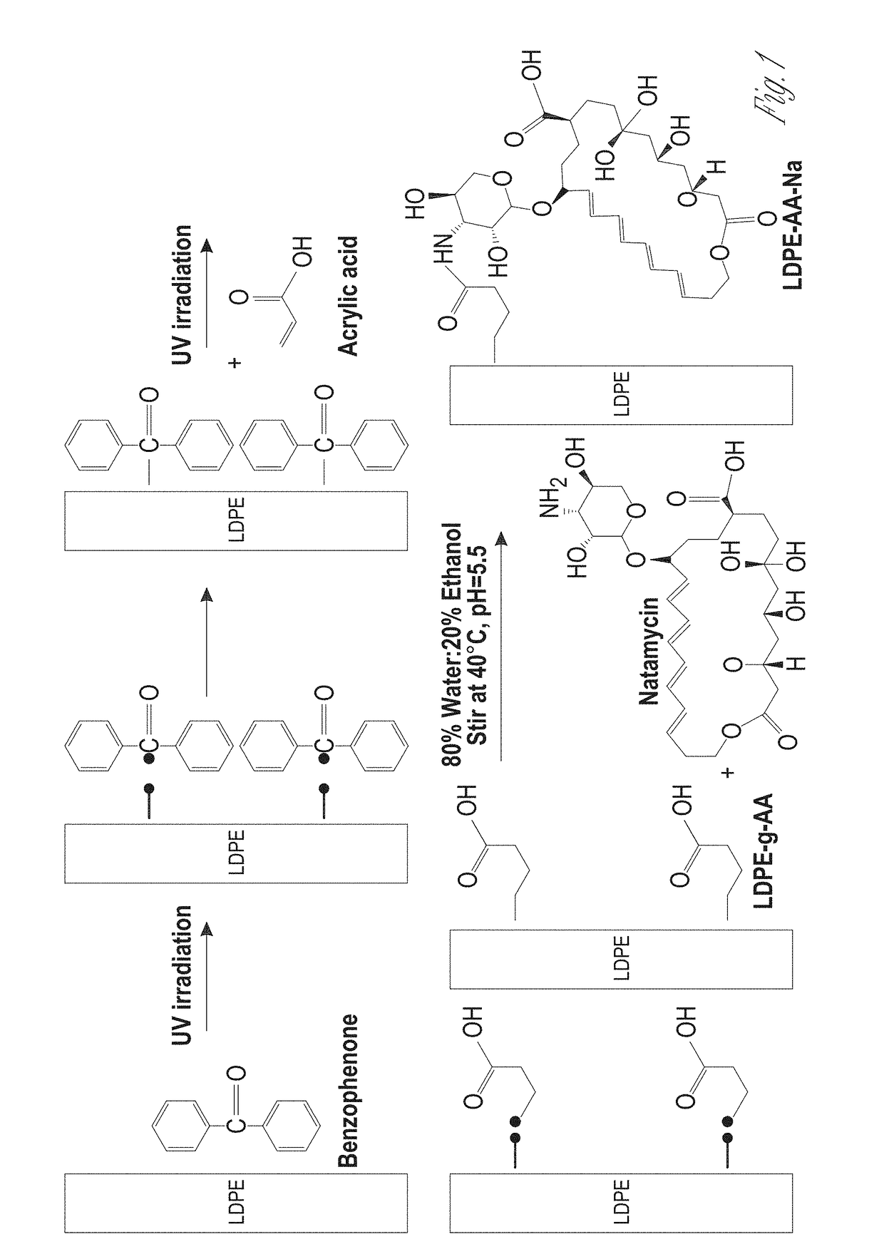 Antifungal-grafted polyolefin