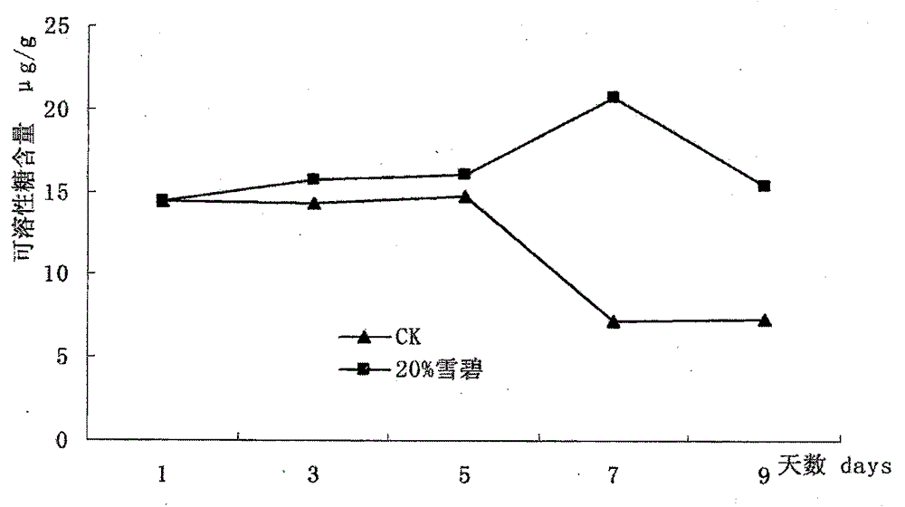 Cut lily freshness maintaining method and application thereof