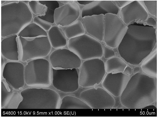 Special master batch for foamed polypropylene with high light oxygen stability and preparation method of special master batch