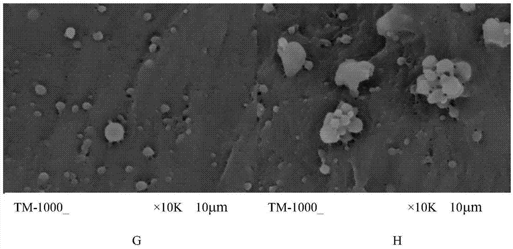 Preparation method and application of biological nanopatch