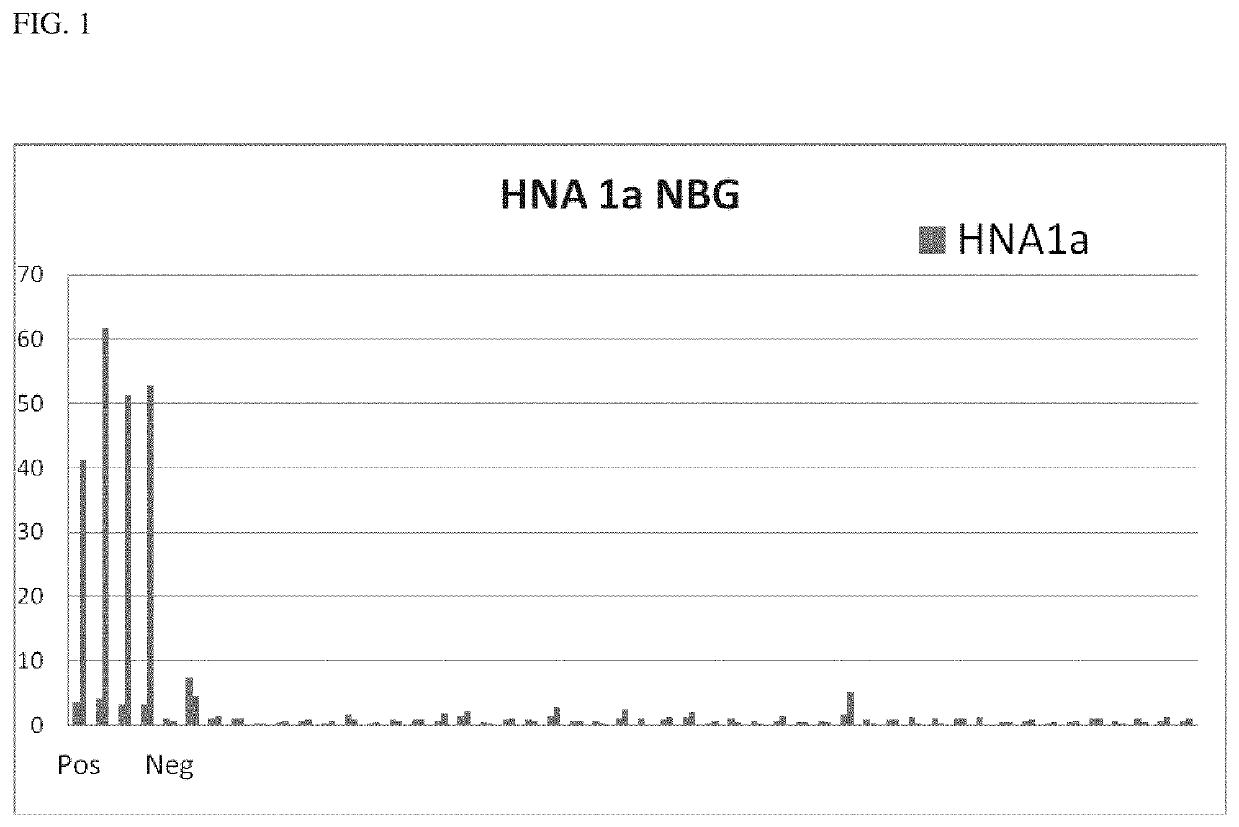 Modified Fc Gamma Receptor Type III (FcgammaIII, HNA-1) Polypeptides and The Uses Thereof