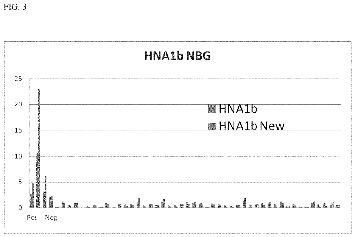 Modified Fc Gamma Receptor Type III (FcgammaIII, HNA-1) Polypeptides and The Uses Thereof