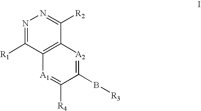 Phthalazine compounds and methods of use