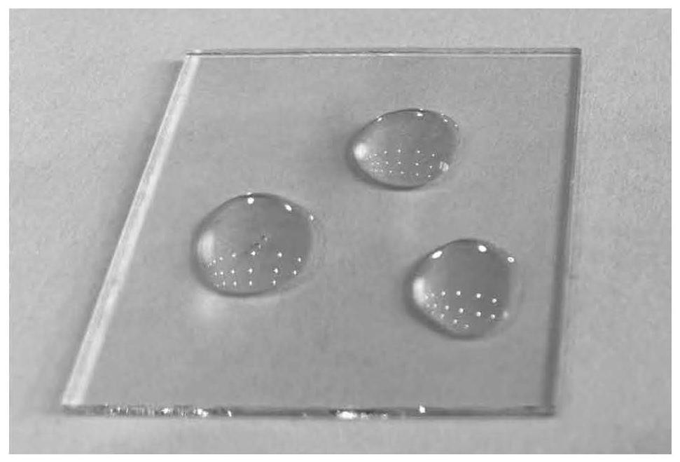 A kind of high permeability hydrophobic dustproof film and preparation method thereof