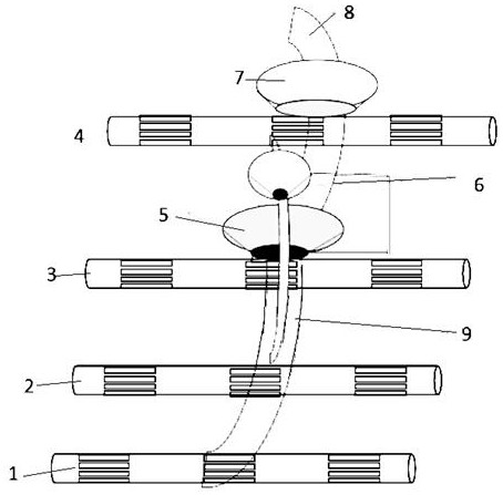 Spinning method for siro compact spinning large-difference-proportion short fiber skin-core wrapped yarn