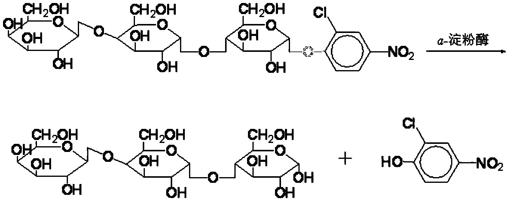 Screening method for alpha-amylase inhibitor producing bacteria