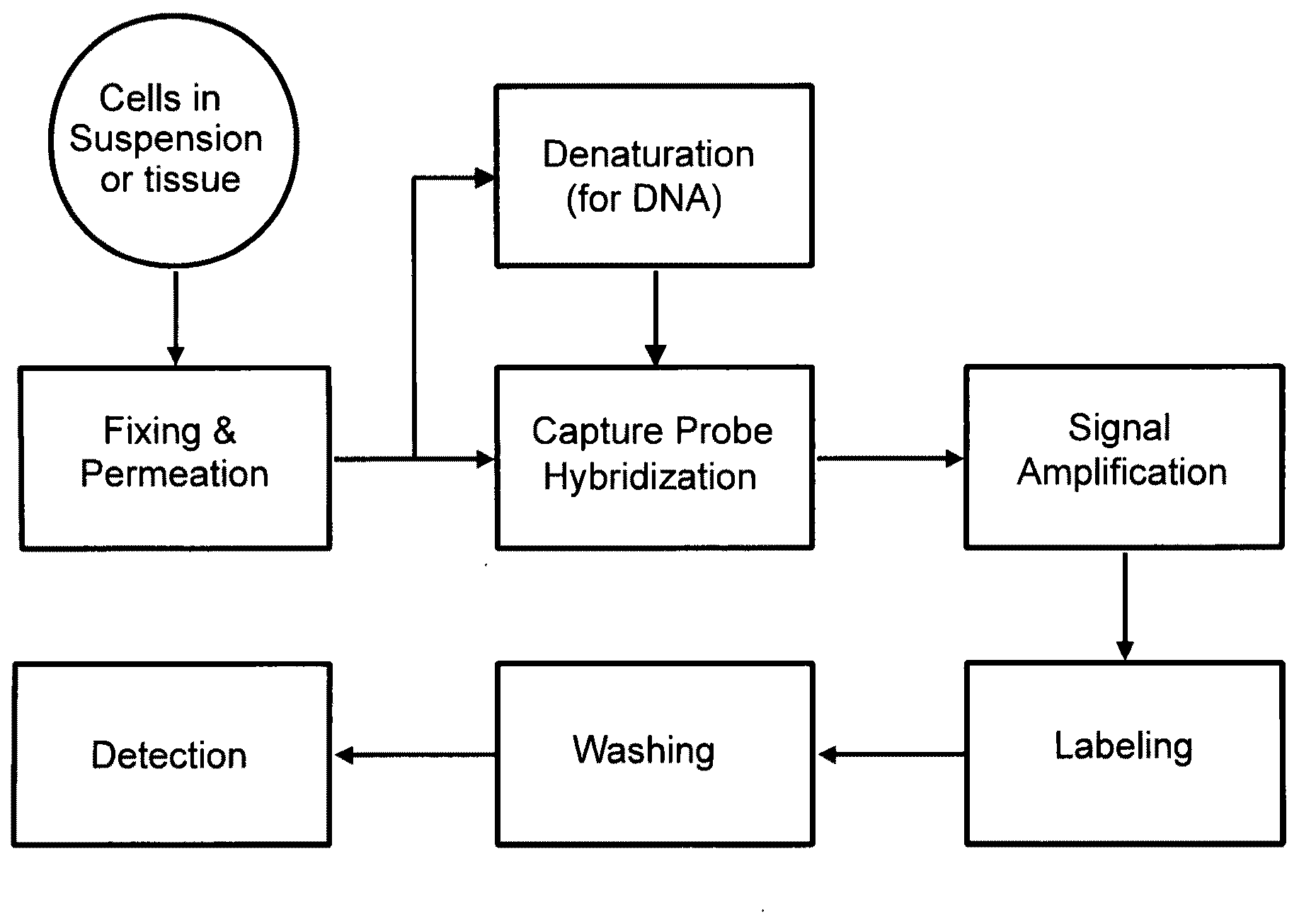 Methods of detecting nucleic acids in individual cells and of identifying rare cells from large heterogeneous cell populations