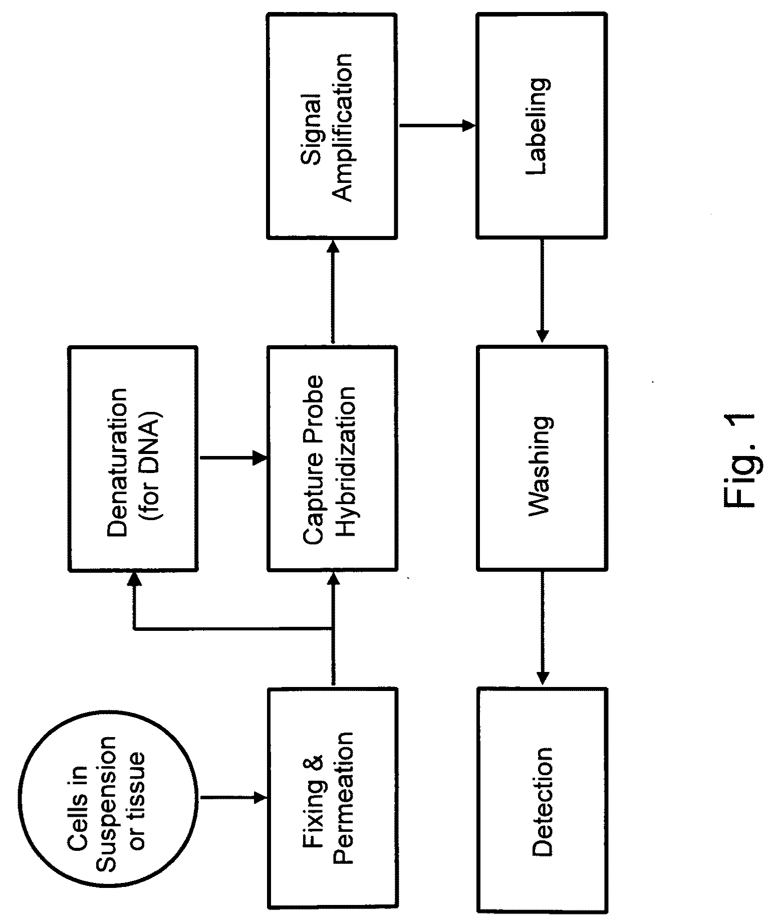 Methods of detecting nucleic acids in individual cells and of identifying rare cells from large heterogeneous cell populations