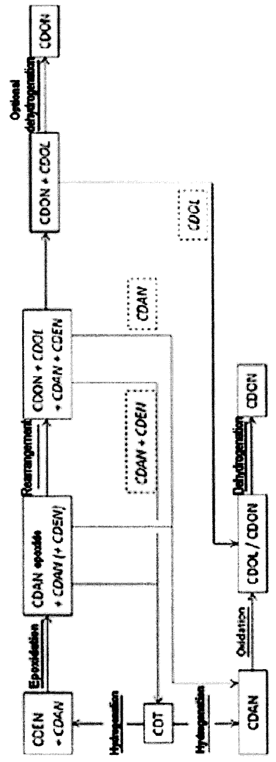 Process for preparing cyclododecanone