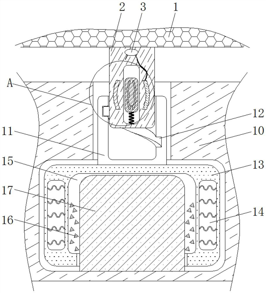 Anti-misplug plug and socket for household ornaments