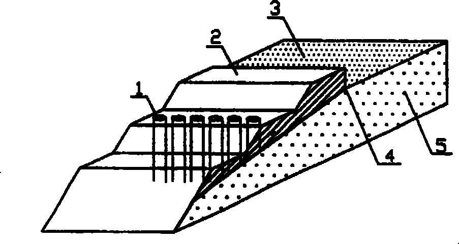 Seepage drainage method for tailing dam and seepage drainage pipe for use therein