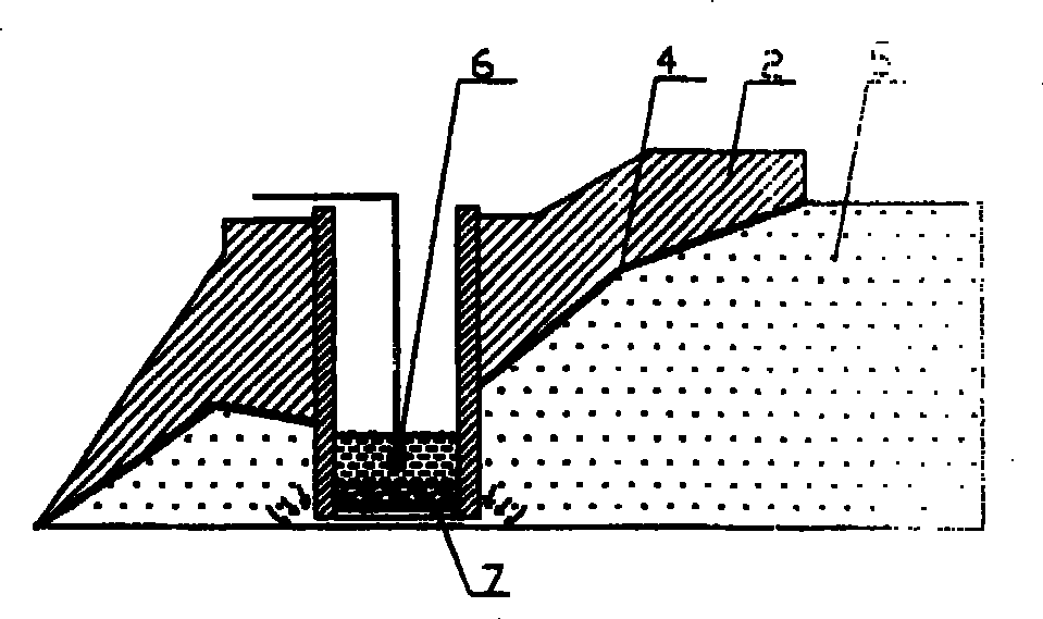 Seepage drainage method for tailing dam and seepage drainage pipe for use therein