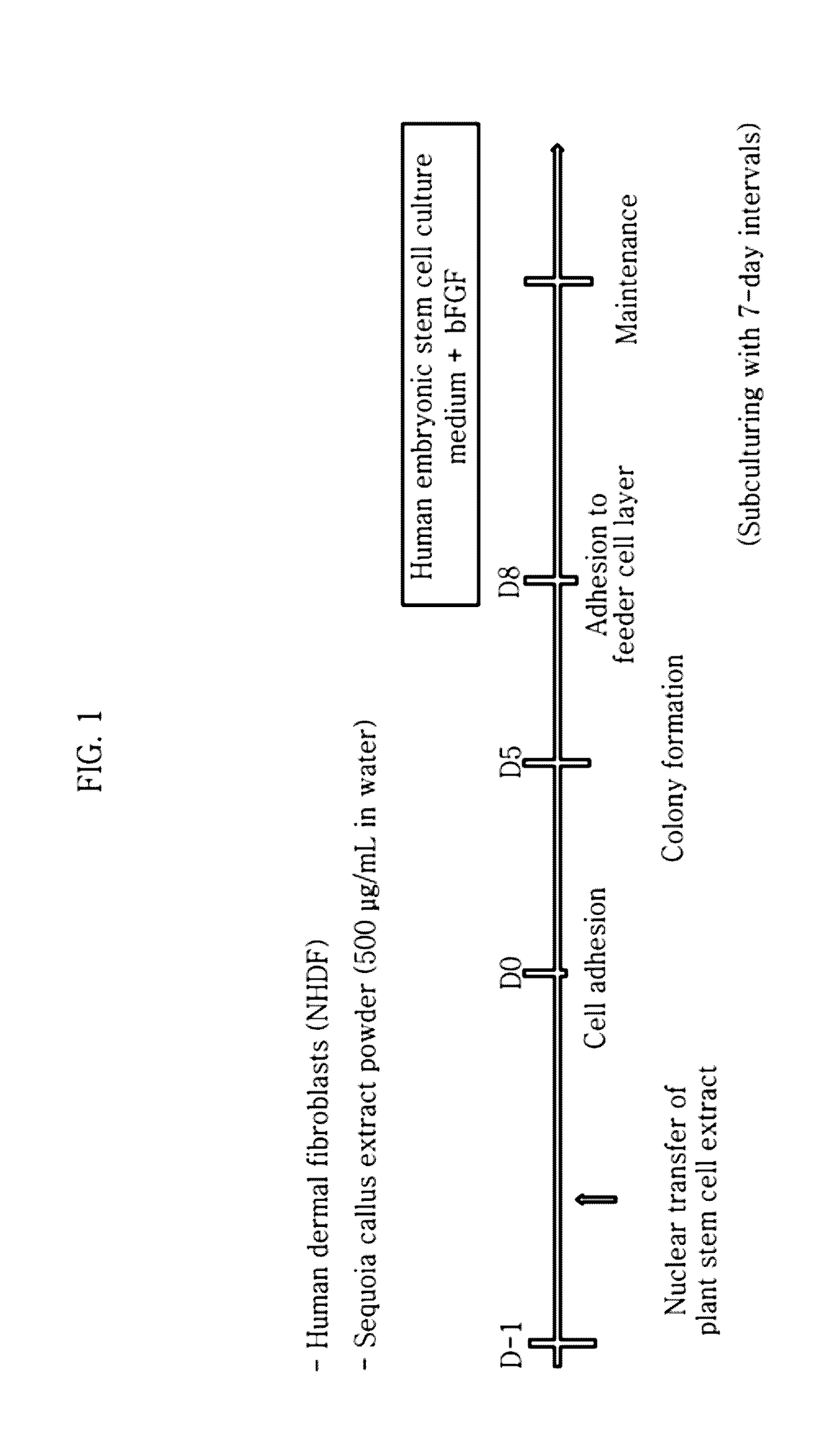 Method for inducing pluripotent stem cells and pluripotent stem cells prepared by said method