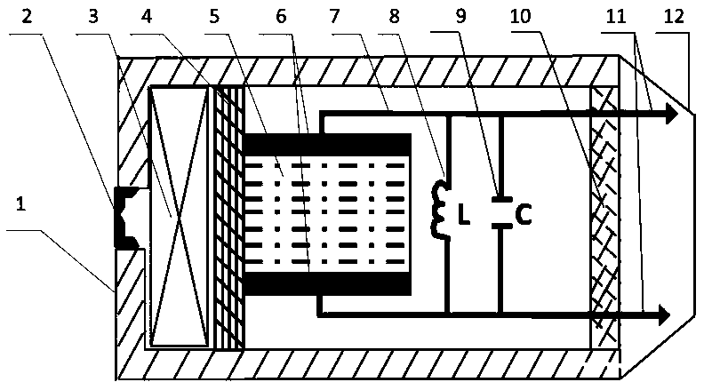 Ferroelectric electric shock bullet