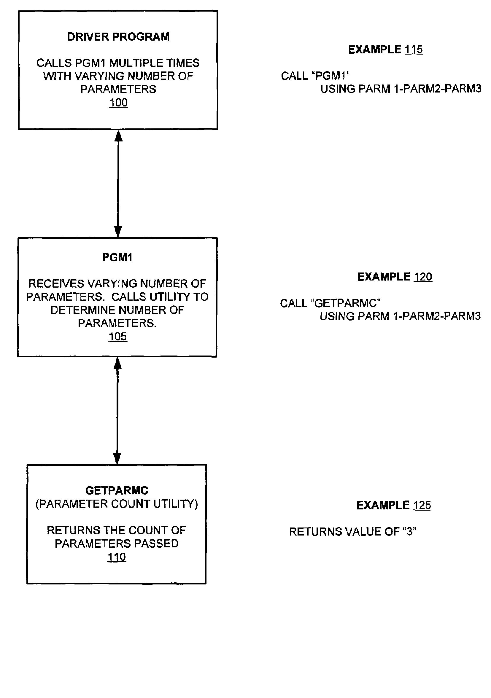 System and method for runtime detection of program parameters