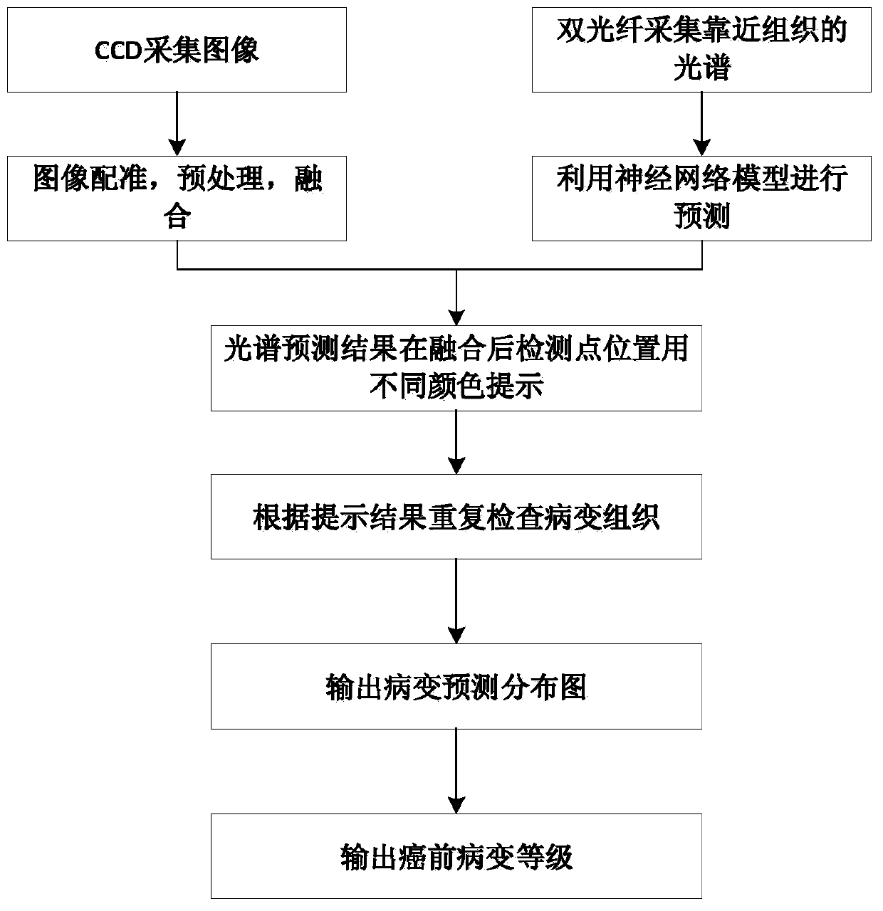 Cervical cancer precancerous lesion screening method combining spectrums and images