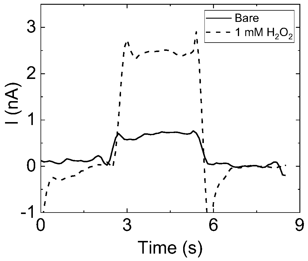 Wearable photoelectrochemical biosensor and preparation method thereof