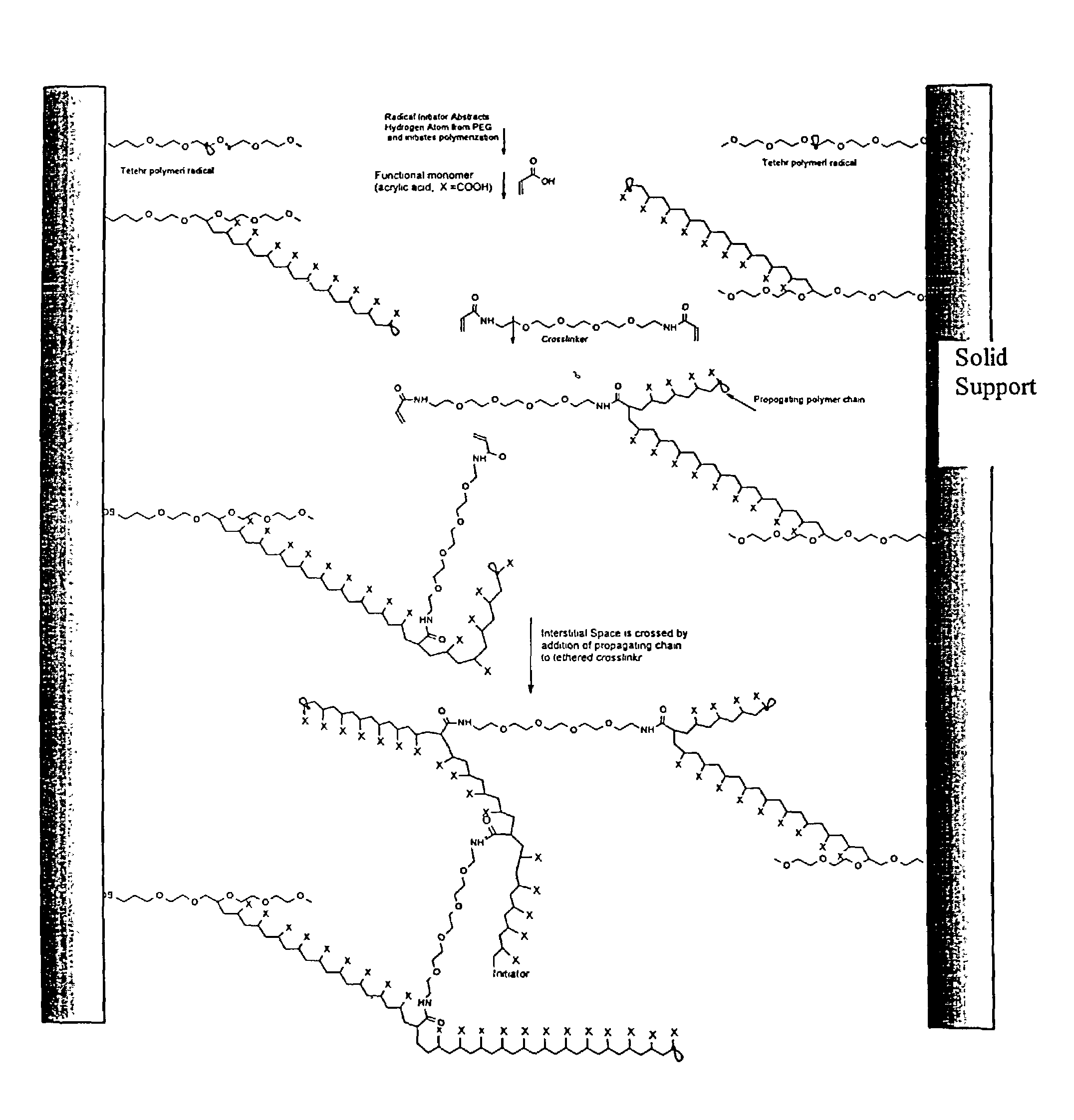 Composite matrices with interstital polymer networks