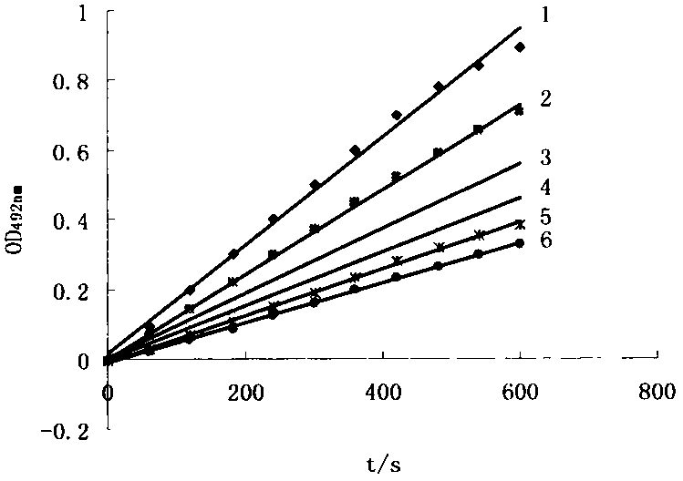 Tyrosinase inhibitory activity of bunge auriculate root polysaccharide and application of bunge auriculate root polysaccharide