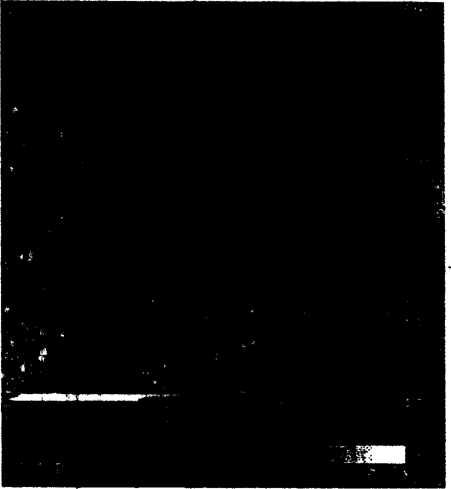 Reversible double-superaffinity film and its preparing process and application