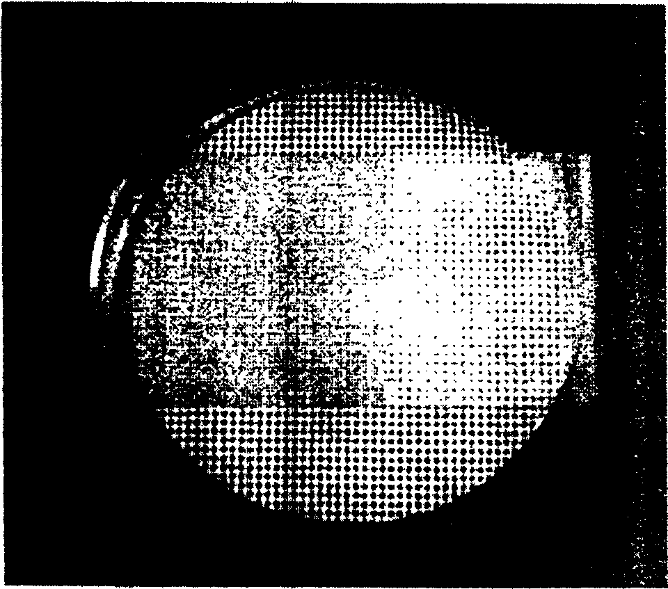 Reversible double-superaffinity film and its preparing process and application