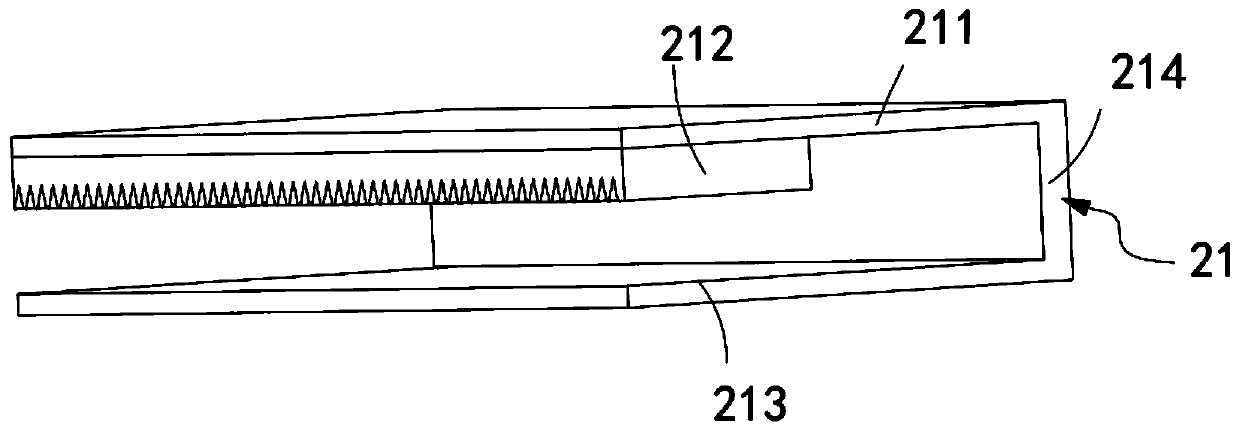 Paint brush with detachable hairbrush head