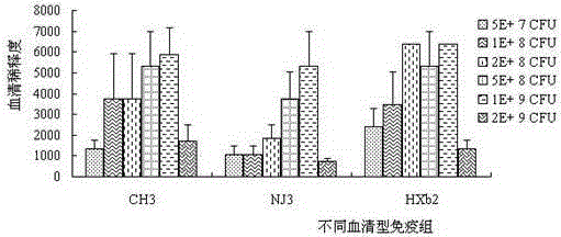 Riemerella anatipestifer trivalent inactivated vaccine and preparation method thereof