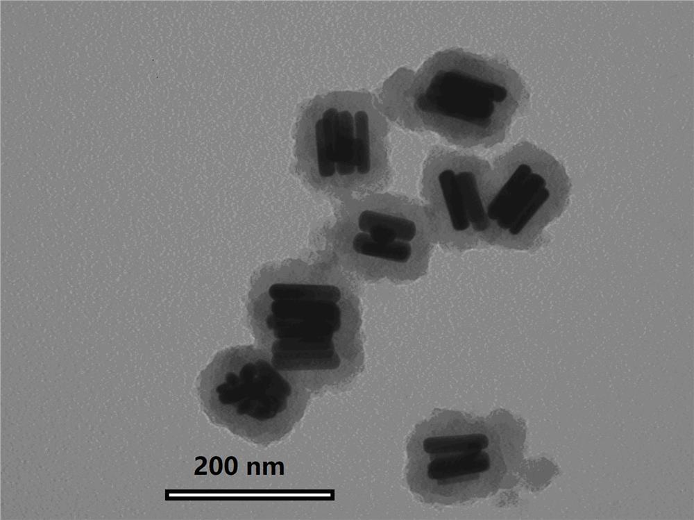 Preparation method and obtained product of self-assembled composite nanostructure of side-by-side gold nanorods coated with polydopamine