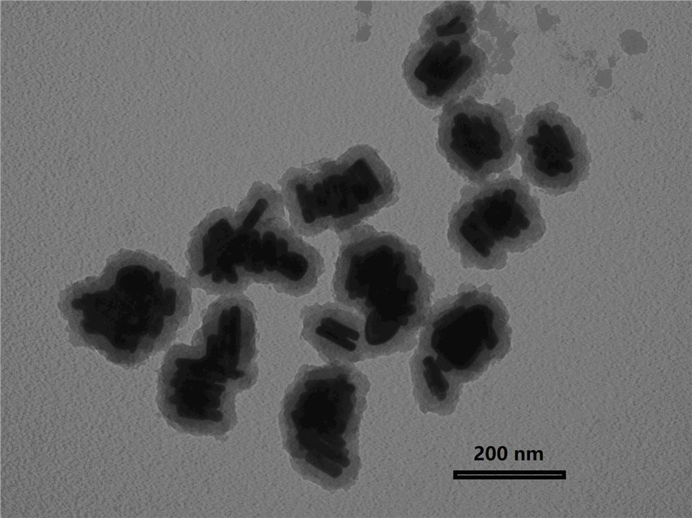 Preparation method and obtained product of self-assembled composite nanostructure of side-by-side gold nanorods coated with polydopamine