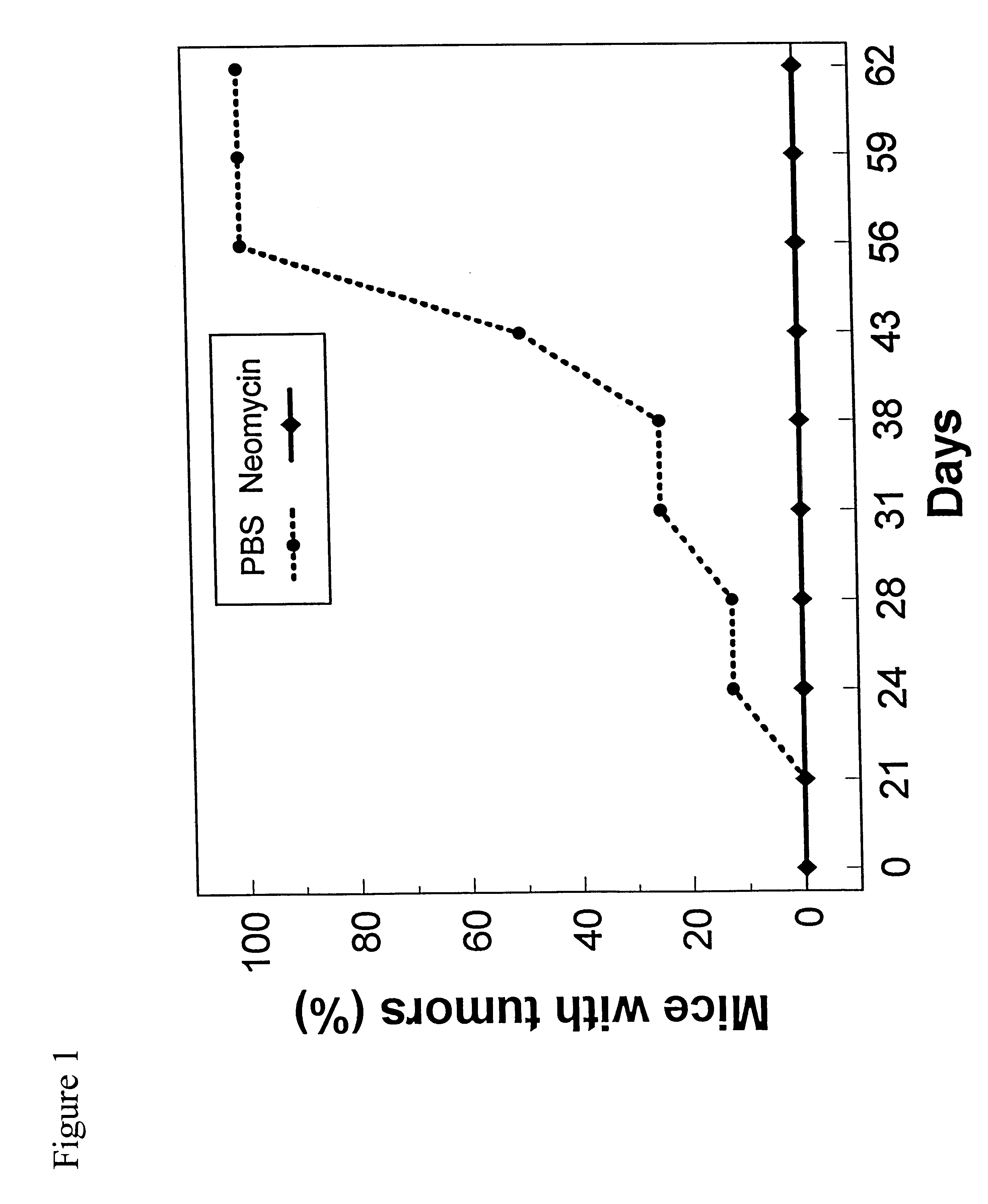 Use of neomycin for treating angiogenesis-related diseases