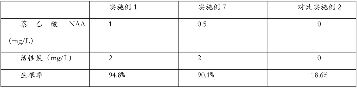 Dracaena cochinchinensis callus seedling culture method