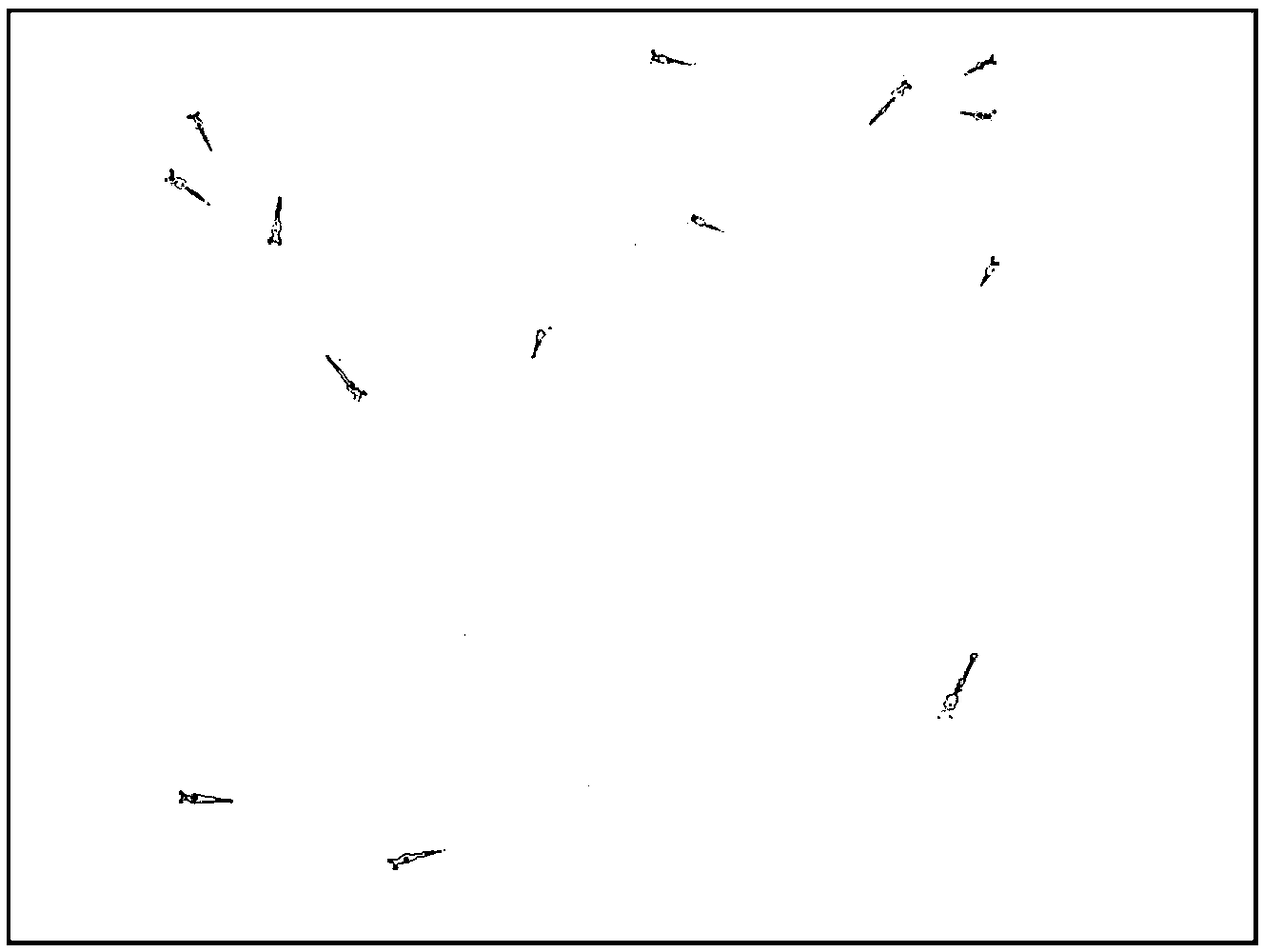 Shrimp seedling positioning method