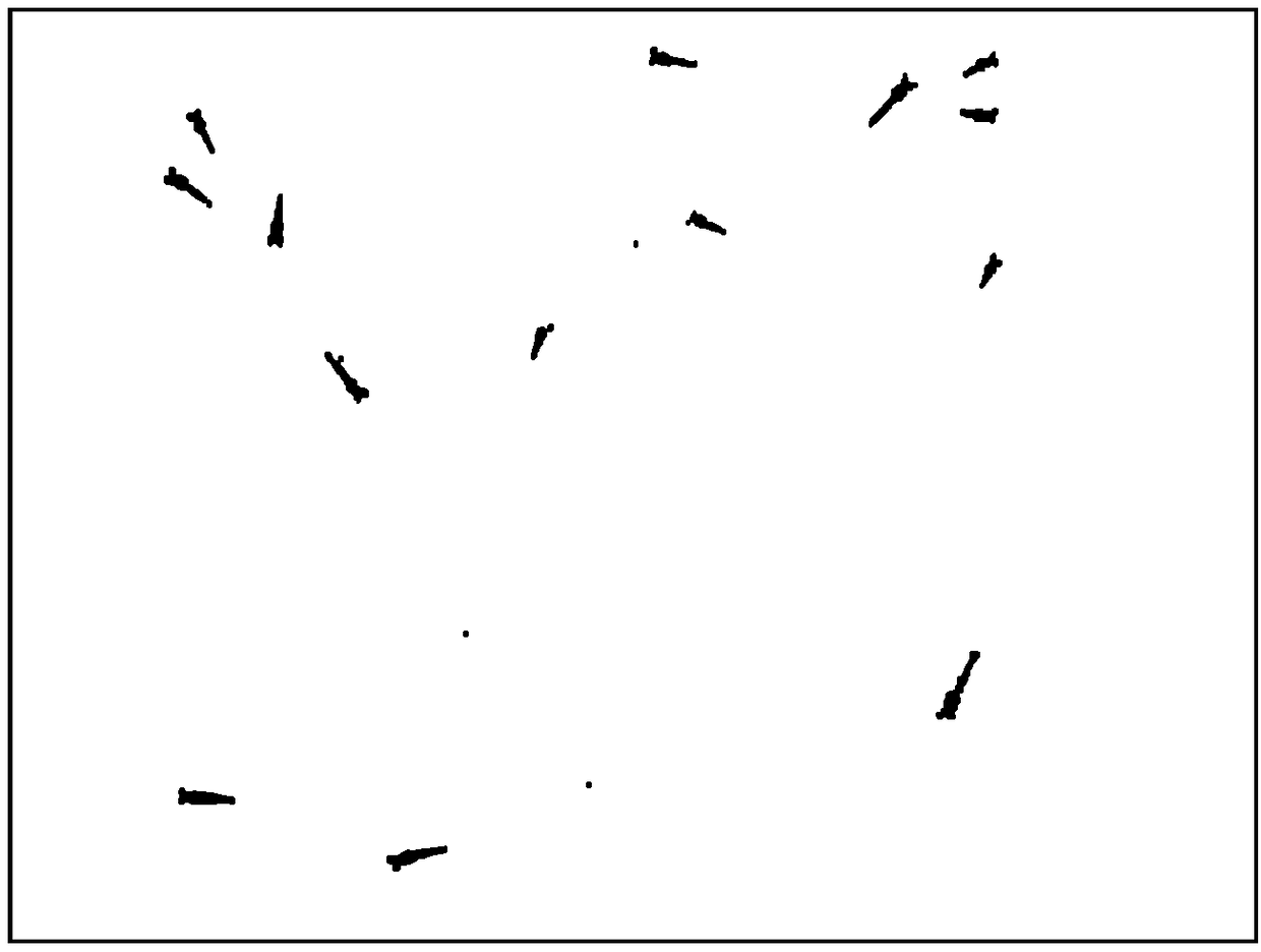 Shrimp seedling positioning method