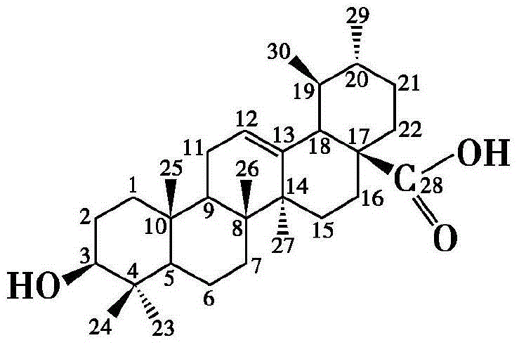 Ursolic acid indole derivative, preparation method and application thereof