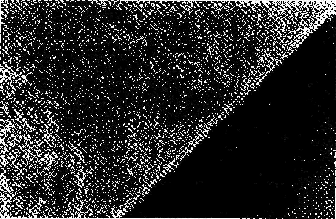 Asymmetric porous ceramic micro filter film and its preparing method