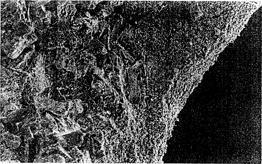 Asymmetric porous ceramic micro filter film and its preparing method