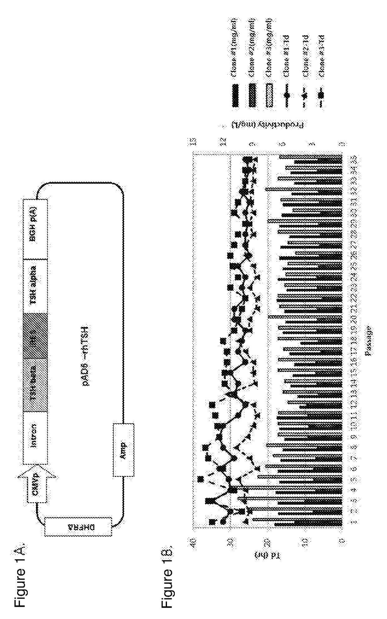 Composition comprising recombinant human thyroid stimulating hormone and method for producing recombinant human thyroid stimulating hormone