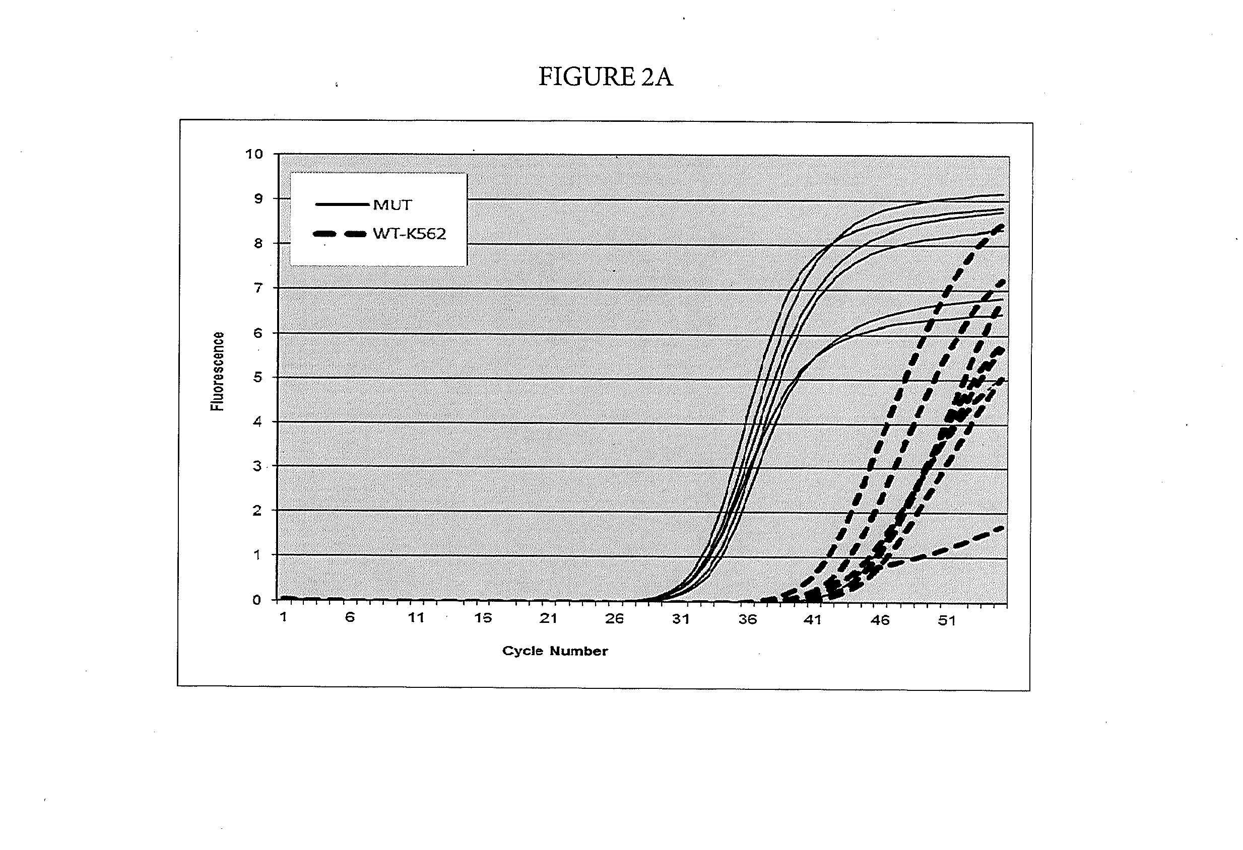 Suppression of Non-Specific Amplification with High-Homology Oligonucleotides