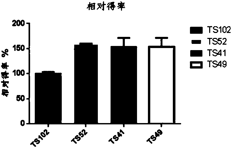 A strain producing L-tryptophan and use thereof