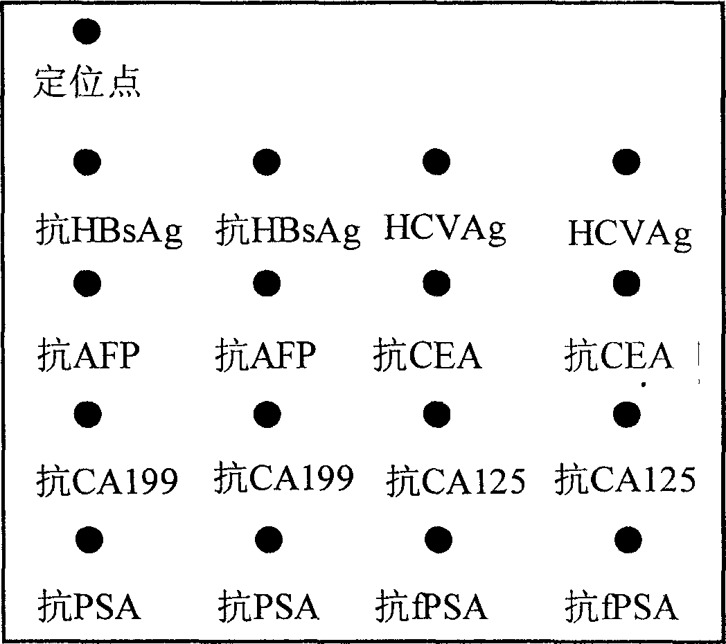 Hepatitis B and C and multiple tumor marker protein chip inspecting reagent unit