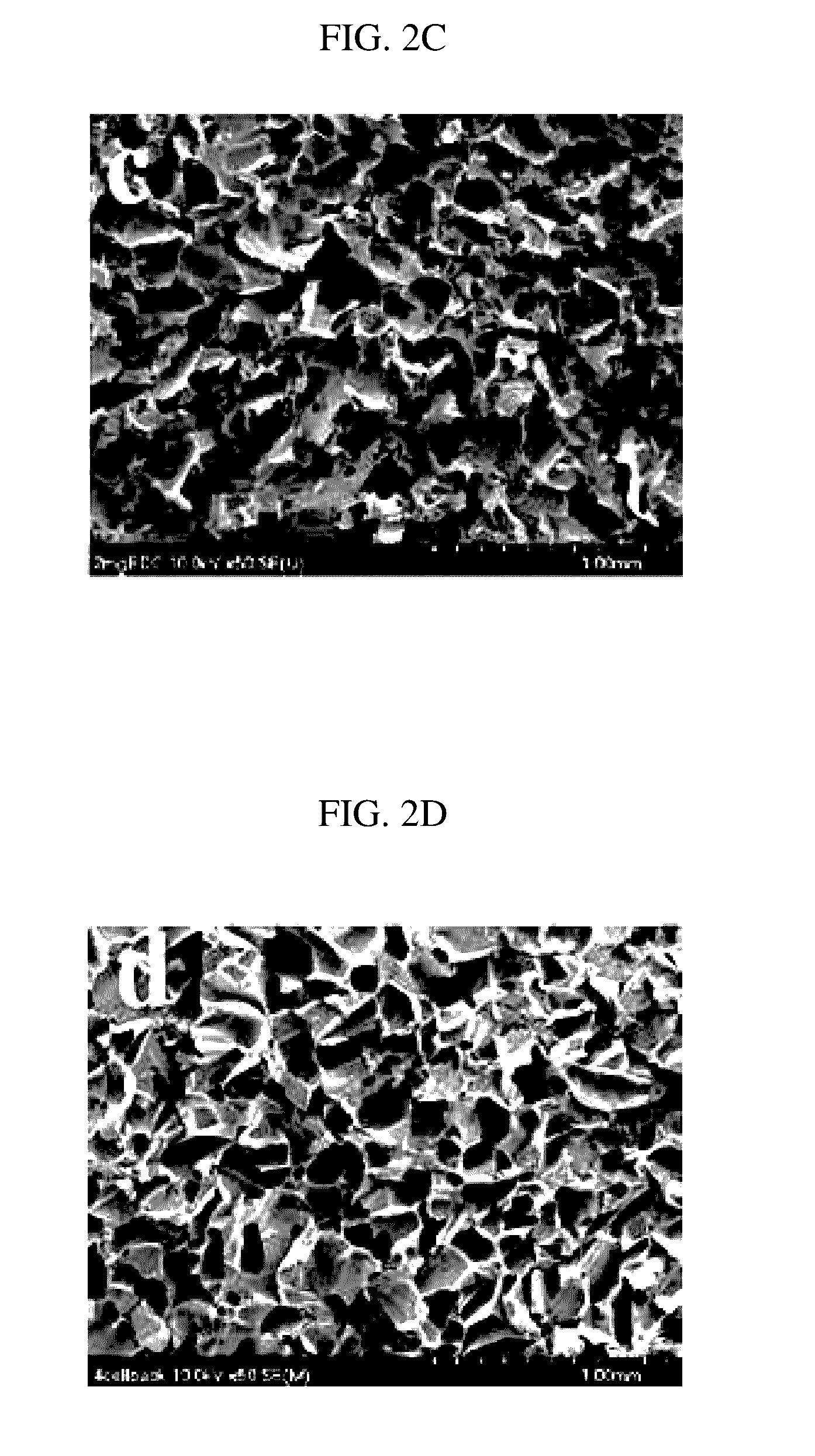 Hybrid hollow microcapsule, scaffold for soft tissue including same, and methods of preparing same